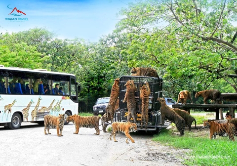 Tour du lịch Thái Lan 5 ngày 4 đêm - thaiantravel