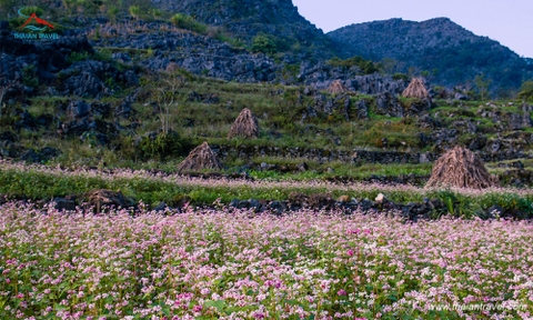 Tour Hà Giang - Cao Nguyên Đá Đồng Văn 3 đêm 2 ngày hàng ngày từ Hà Nội