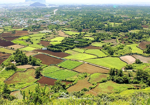 Tour du lịch đảo jeju hàn quốc