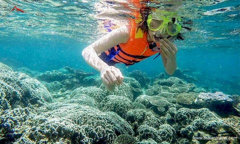 Tour Đảo Hòn Khô 1 ngày - Lặn ngắm biển san hô tuyệt đẹp- thaiantravel.com