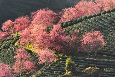 Tour Sapa - Fansipan 2 ngày 1 đêm