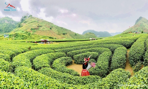 Tour Vòng cung Tây Bắc