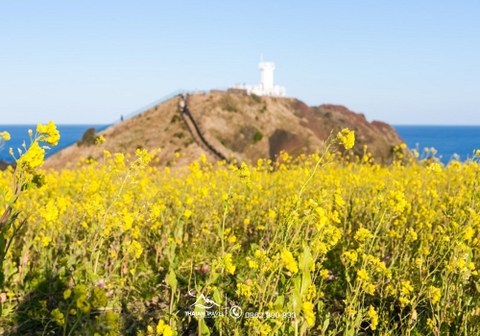 Tour du lịch đảo jeju hàn quốc