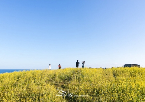 Tour du lịch đảo jeju hàn quốc