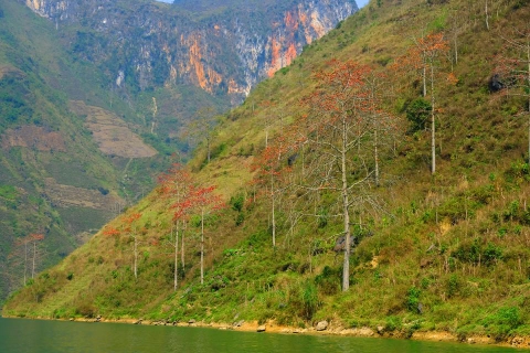 Tour Hà Giang mùa hoa gạo 3N2Đ - Hà Giang, Cao nguyên đá Đồng Văn 1