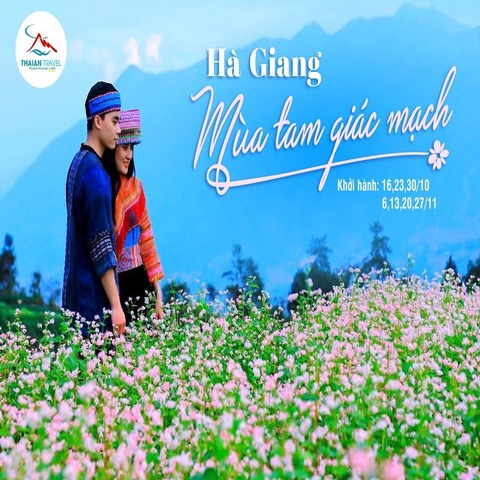 Tour Hà Giang mùa hoa tam giác mạch 01