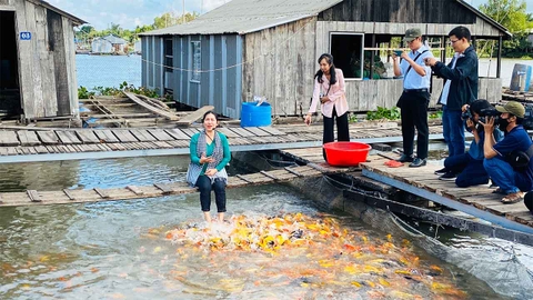 Tour Hà Nội - Cần Thơ - Côn Đảo 4 ngày 3 đêm