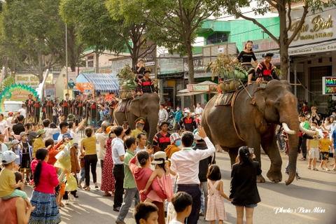 Tour Pleiku - Buôn Mê Thuột mùa hoa Cafe khám phá Tây Nguyên hùng vĩ