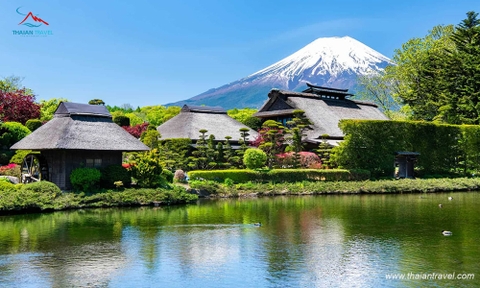 Tour Nhật Bản mùa hoa anh đào 2023