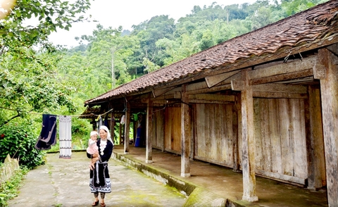 Tour Na Hang mùa hoa lê 2023: HÀ NỘI – NA HANG - VƯỜN HOA LÊ