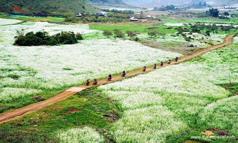 Tour Mộc Châu - Mai Châu