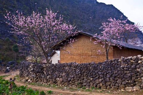 Tour hà Giang 3 ngày 4 đêm