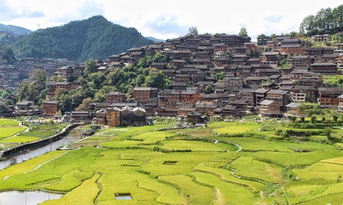 Tour Quý Châu hoa đỗ quyên 4 ngày 3 đêm -1