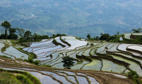 Tour Na Hang mùa hoa lê 2023: HÀ NỘI – NA HANG - VƯỜN HOA LÊ