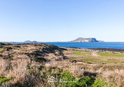 Tour du lịch đảo jeju hàn quốc