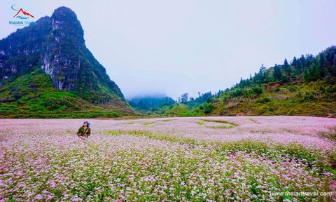 Tour Hà Giang mùa hoa gạo 3N2Đ - Hà Giang, Cao nguyên đá Đồng Văn 1