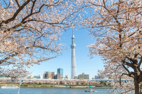 Du lịch Nhật Bản mùa hè: TOUR OSAKA –KOBE - KYOTO –NAGOYA – PHÚ SĨ - TOKYO