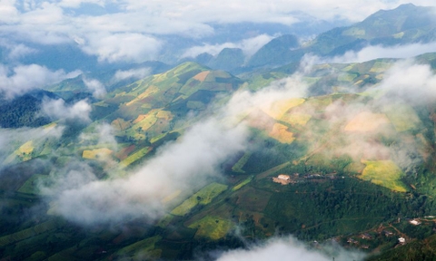 Tour Tà Xùa - Xím Vàng 2 ngày 1 đêm - Tây Bắc mùa lúa chín