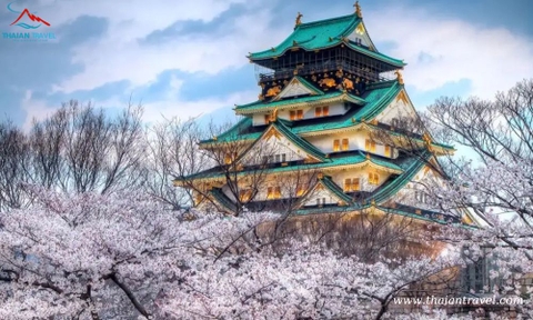 Tour mùa thu Nhật Bản: HÀ NỘI- OSAKA –KOBE – KYOTO– NÚI PHÚ SĨ – TOKYO