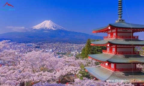 Tour Du lịch Nhật Bản cung đường vàng: OSAKA – NARA – KYOTO – NAGOYA – PHÚ SĨ – TOKYO