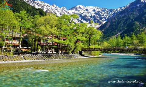 Tour Du lịch Nhật Bản mùa lá đỏ: TOKYO – FUJI – MATSUMOTO – KAMIKOCHI – SHIRAKAWAGO – NAGOYA