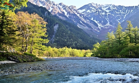 Tour Du lịch Nhật Bản mùa lá đỏ: TOKYO – FUJI – MATSUMOTO – KAMIKOCHI – SHIRAKAWAGO – NAGOYA