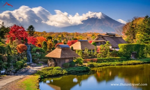 Tour Du lịch Nhật Bản mùa lá đỏ: TOKYO – FUJI – MATSUMOTO – KAMIKOCHI – SHIRAKAWAGO – NAGOYA