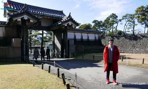 Tour Du lịch Nhật Bản mùa lá đỏ: TOKYO – FUJI – MATSUMOTO – KAMIKOCHI – SHIRAKAWAGO – NAGOYA