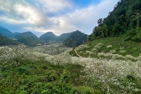 Tour Ngọc Chiến Mộc Châu 3 ngày 2 đêm mùa hoa Sơn Tra 1