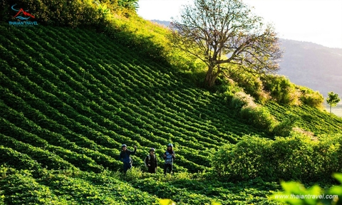 Tour Tây Nguyên Buôn Mê Thuột - Gia Lai - Kon Tum 5 ngày 4 đêm