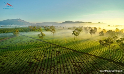 Tour du lịch Tây Nguyên 4 ngày 3 đêm khám phá Tây Nguyên đại ngàn