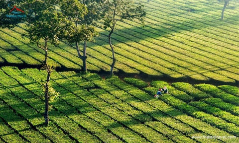 Tour Tây Nguyên Buôn Mê Thuột - Gia Lai - Kon Tum 5 ngày 4 đêm