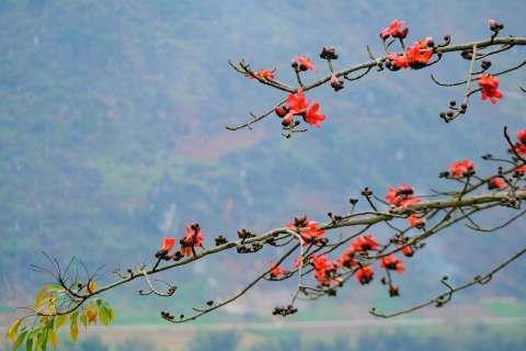 Tour Hà Giang mùa hoa gạo 3N2Đ - Hà Giang, Cao nguyên đá Đồng Văn 1