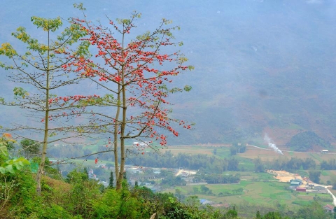 Tour Hà Giang mùa hoa gạo 3N2Đ - Hà Giang, Cao nguyên đá Đồng Văn 1