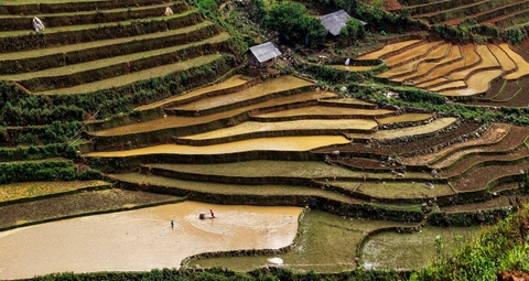 Tour Mù Cang Chải mùa nước đổ 2023: Mù Căng Chải - Tú Lệ - Nghĩa Lộ 10