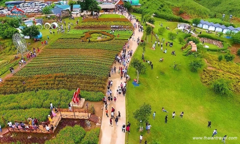 Tour Mai Châu - Mộc Châu 2 ngày 1 đêm khởi hành từ Hà Nội