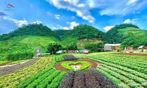 Tour Mai Châu - Mộc Châu 2 ngày 1 đêm khởi hành từ Hà Nội