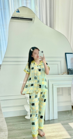 Bộ Bầu MANGO