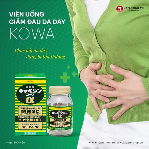 Viên uống giảm đau dạ dày Kowa 300v