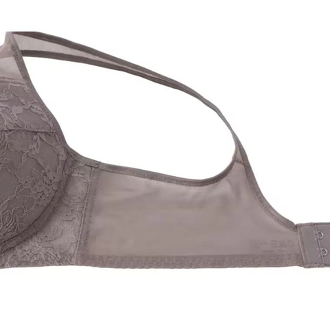 Áo lót nữ ren Light Bra Gunze EB1229N