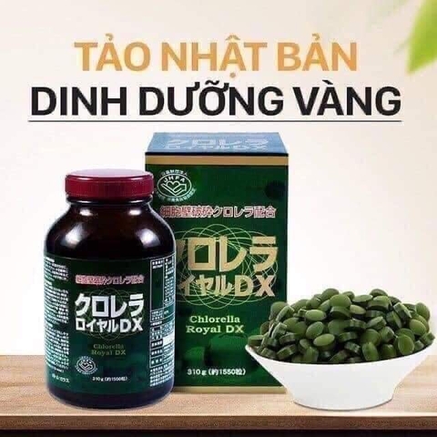 Tảo lục hoàng gia Chlorela Royal DX