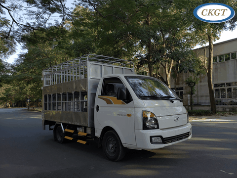 Xe tải Hyundai H150 chở gia súc | CKGT