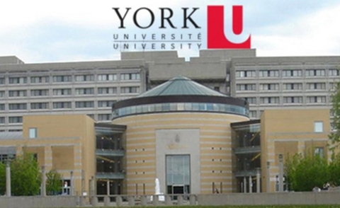 Trường Đại học York