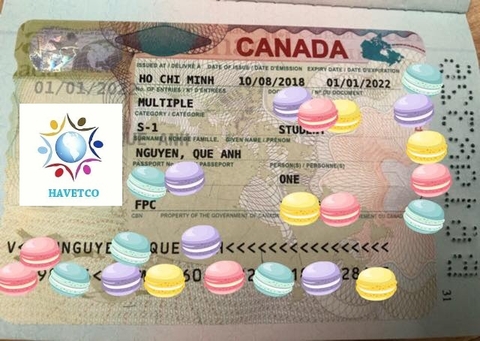 VISA DU HỌC DIỆN 