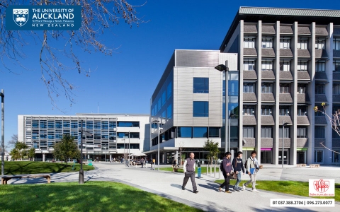 University of Auckland