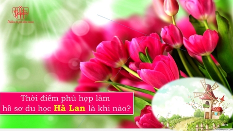 DU HỌC HÀ LAN - NÊN CHỌN THỜI ĐIỂM NÀO ĐỂ LÀM HỒ SƠ DU HỌC?
