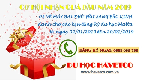 Du học Malta: Trường Anh ngữ Malta Lingua