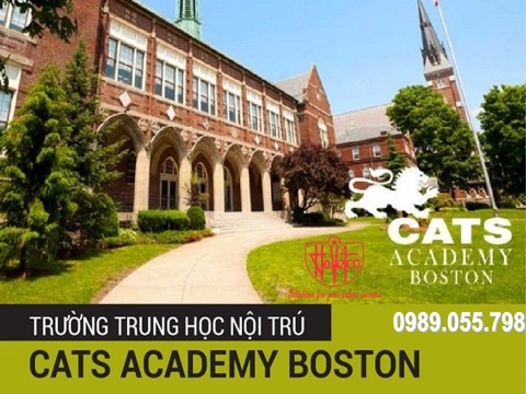 VUI HÈ TẠI THÀNH PHỐ BOSTON, HOA KỲ - NĂM 2020