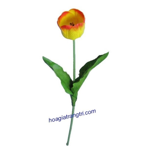 Hoa tuy líp cao su mẫu 02- Giá bán lẻ