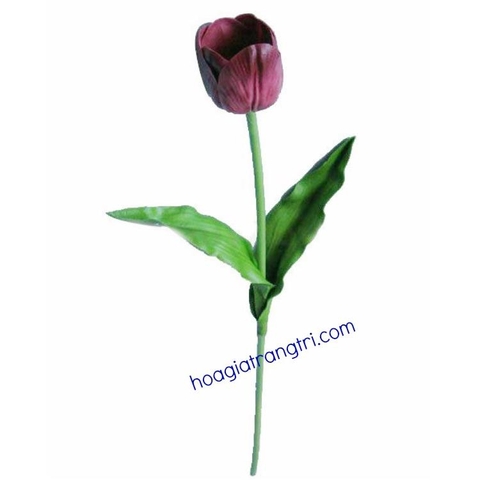 Hoa tuy líp cao su mẫu 01-Giá bán lẻ